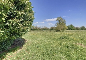 Detached Country House with Outbuilding