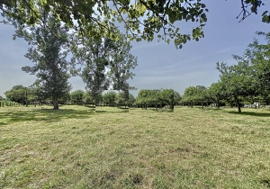 Detached Country House with Open Views