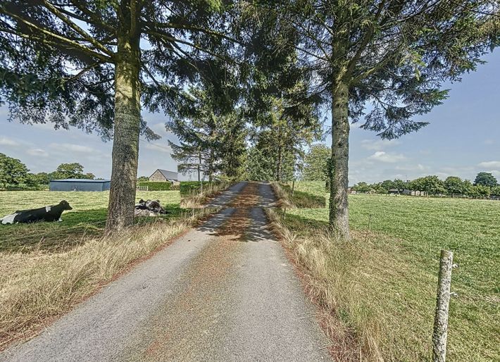 Detached Country House with Long Drive