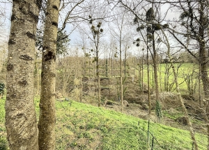 Farm Building to Develop, Strong Potential