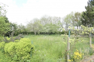 Detached House with Garden