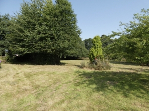 Detached House with Landscaped Garden