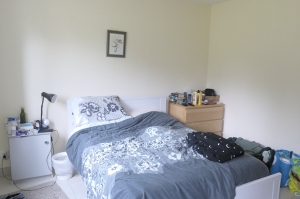 Traditional House with Garden