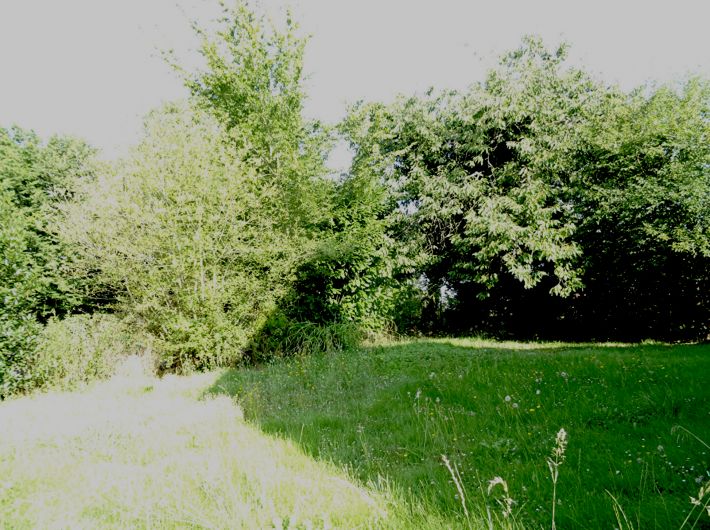 Detached House with Garden in Rural Village
