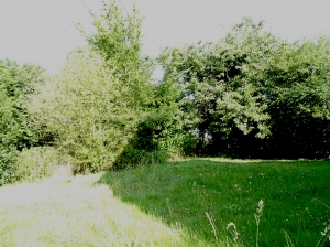 Detached House with Garden in Rural Village