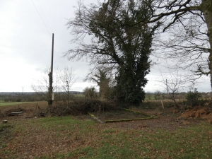 Country Barn to Develop in Quiet Setting