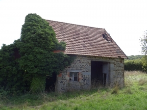 Detached Country House with Outbuildings