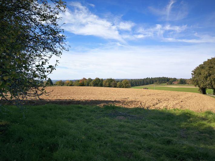 Detached Country House with Open Views