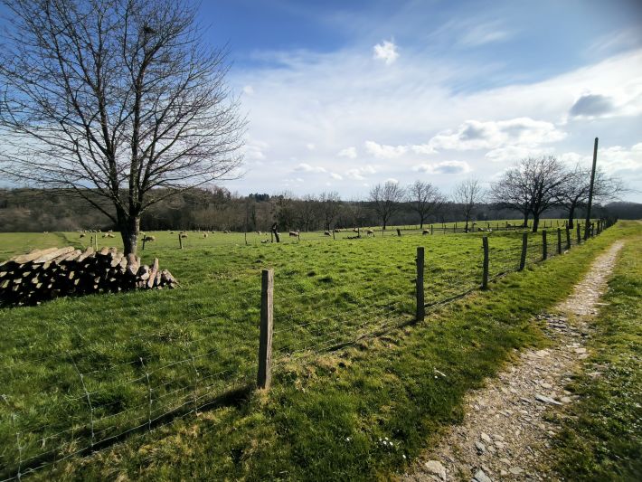 Farmhouse with Outbuildings and 20 Hectares of Land