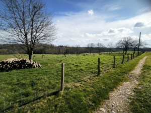 Farmhouse with Outbuildings and 20 Hectares of Land