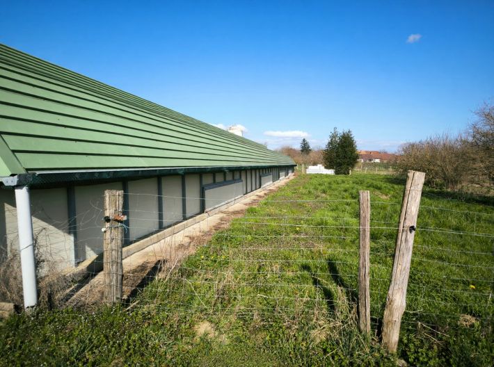 Farmhouse with Outbuildings and 20 Hectares of Land