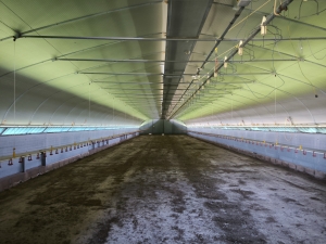 Farmhouse with Outbuildings and 20 Hectares of Land