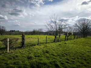 Farmhouse with Outbuildings and 20 Hectares of Land