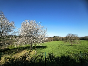 Single Storey Detached House with Garden