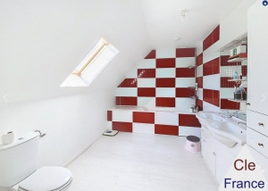 Large Detached House with Swimming Pool