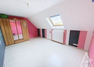 Large Detached House with Swimming Pool