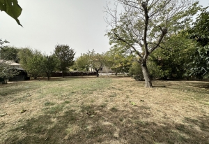 Detached House with Large Mature Garden