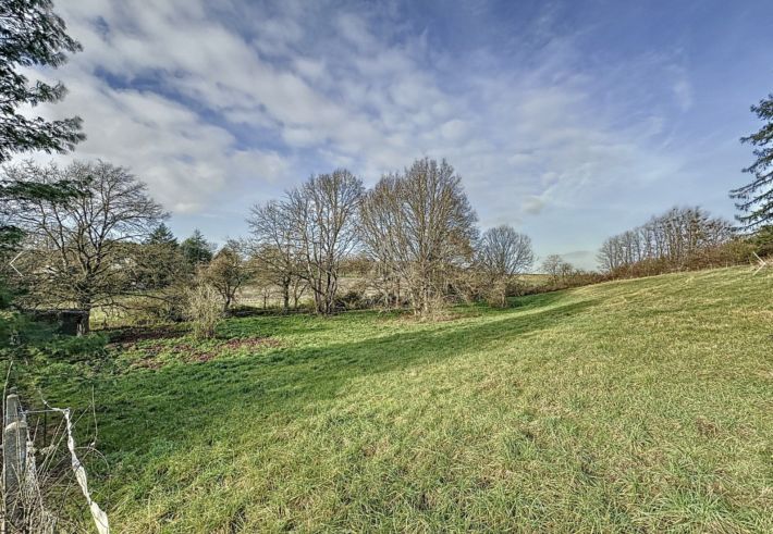 Magnificent Detached Country House