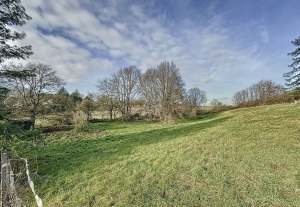 Magnificent Detached Country House