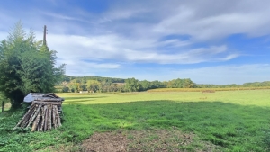 Detached Country House with Outbuilding