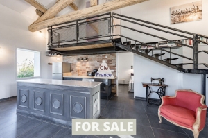 Splendid Former Farmhouse with Guest Gites, Cottages