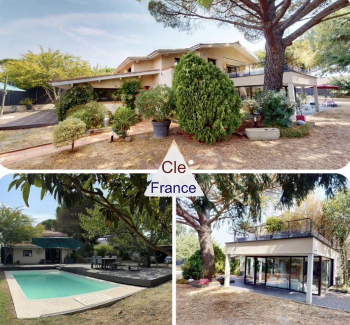 Contemporary Detached House with Swimming Pool