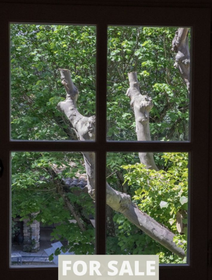 Detached Country House with Swimming Pool