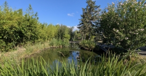 Charming and Cosy House with Bridge over Pond in Garden