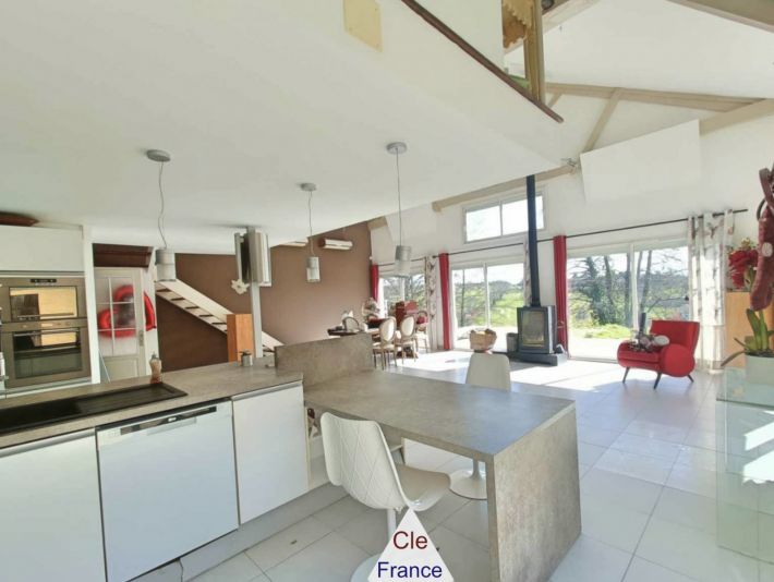 Two Country Houses with Pool and Land