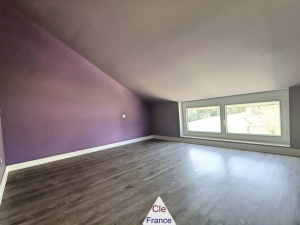 Two Country Houses with Pool and Land