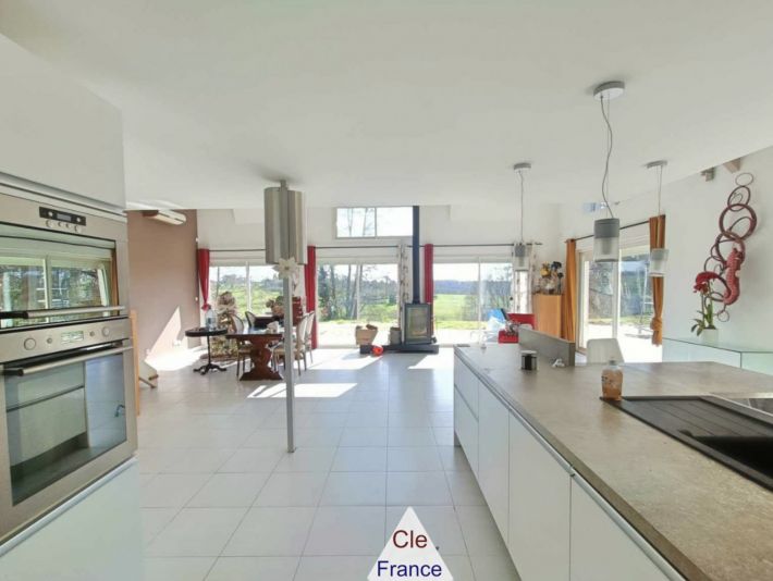 Two Country Houses with Pool and Land