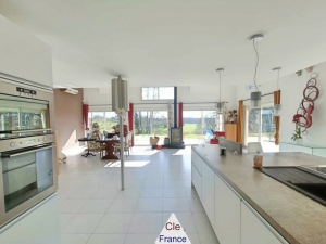 Two Country Houses with Pool and Land