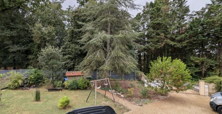 Large Detached Country House with Parkland Garden