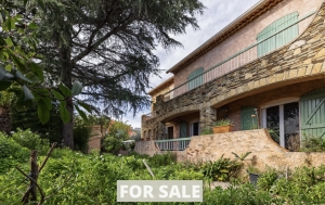 Beautiful House with Terraces and Garden