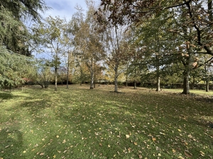 Manor House and Outbuildings in the Countryside