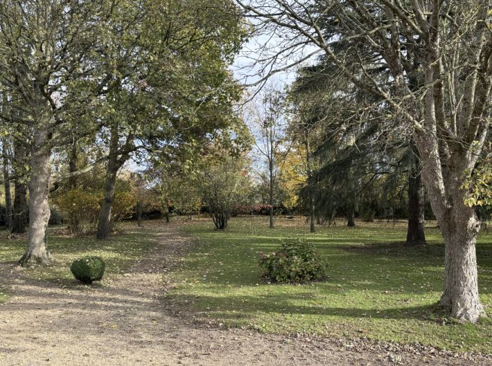 Manor House and Outbuildings in the Countryside