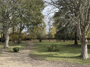 Manor House and Outbuildings in the Countryside