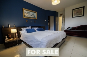 Contemporary House with Swimming Pool