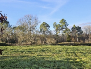 Country House with Guest Gite and Land