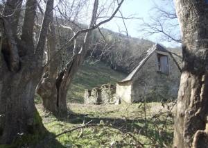 Barn on a Mountain Plateau with Exceptional Views