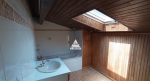 Architect Designed Detached House and Garden