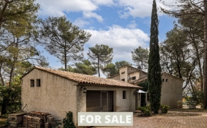 Detached Country House with Mature Gardens