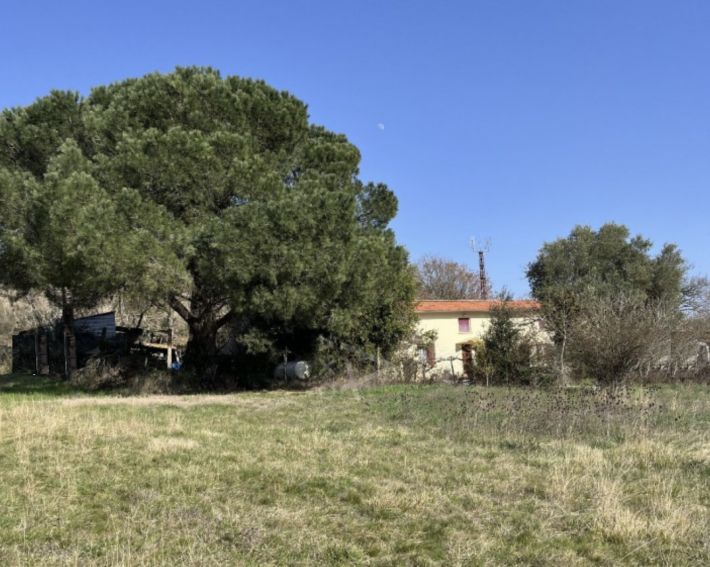 Charming Detached House and Garden