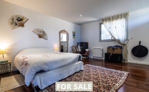 Contemporary House with Guest Accommodation