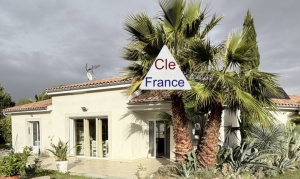 Contemporary Detached House with Swimming Pool