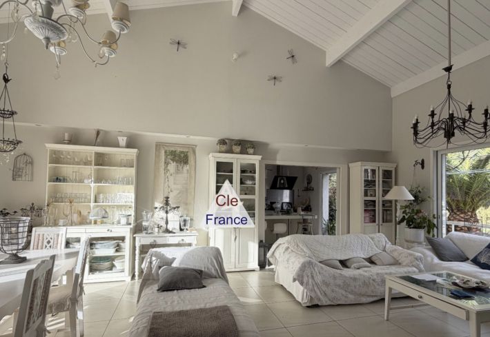 Contemporary Detached House with Swimming Pool