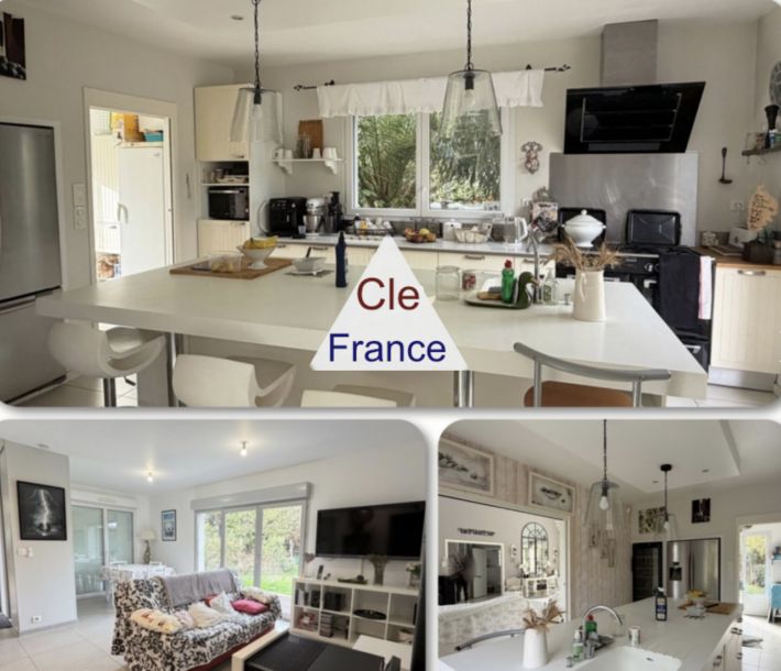 Contemporary Detached House with Swimming Pool