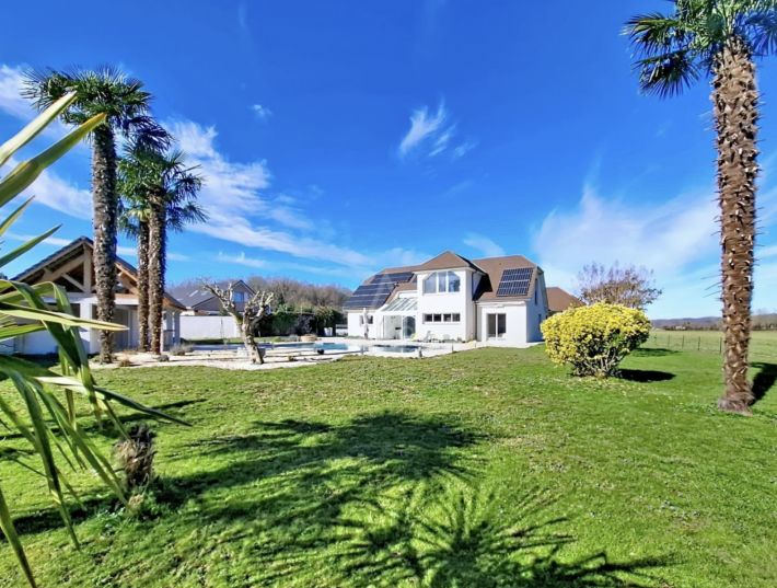 Contemporary Detached House with Swimming Pool