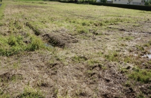 Building Plot For Sale by the River Varenne