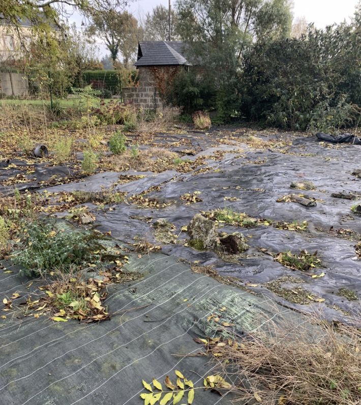 Village House to Renovate with Garden